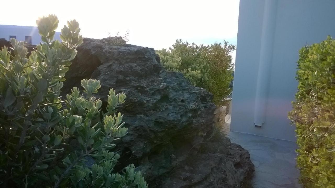 Andros Eco Home Gavrio Esterno foto
