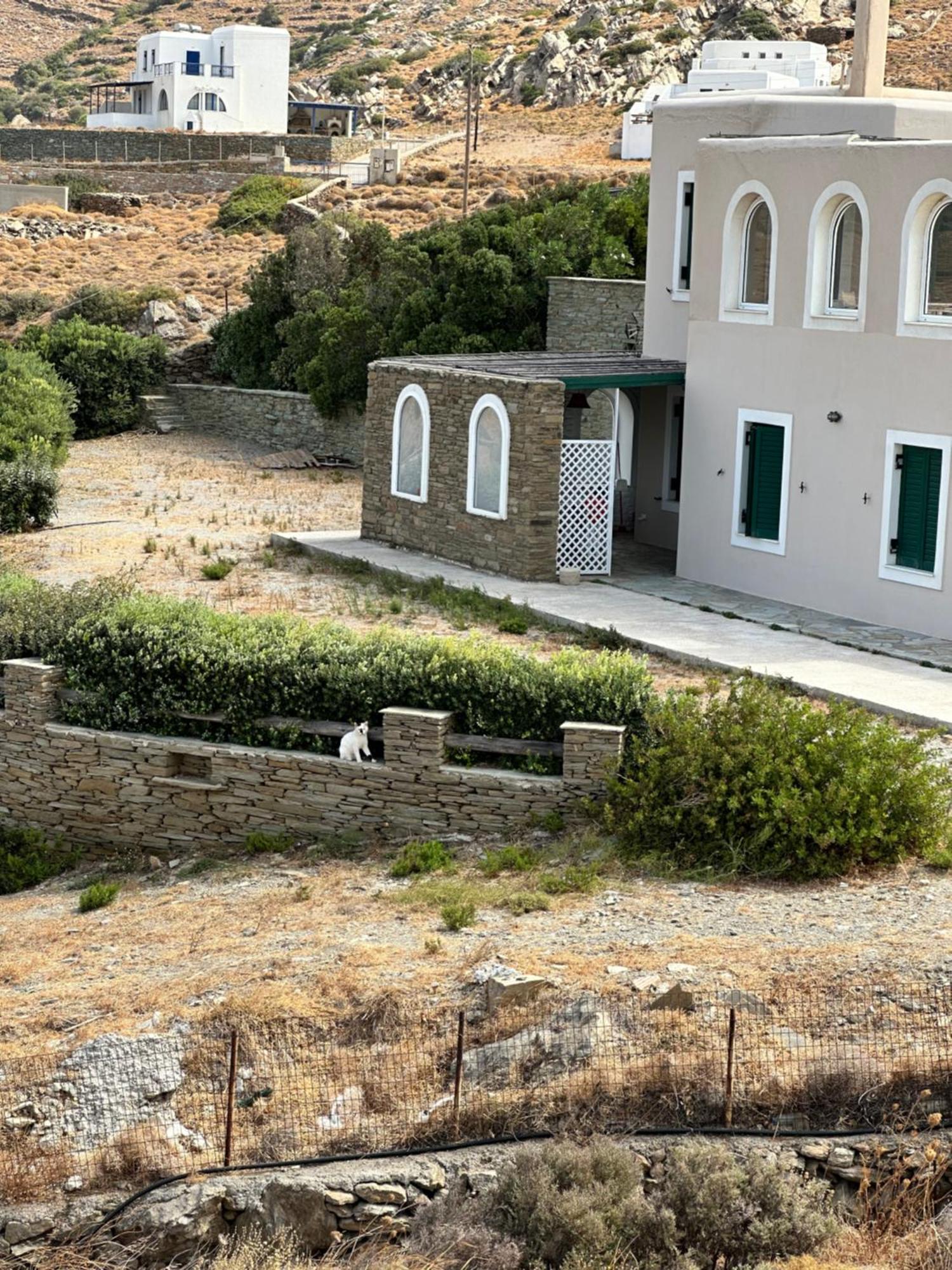 Andros Eco Home Gavrio Esterno foto